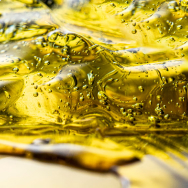 Oils for outboard motors